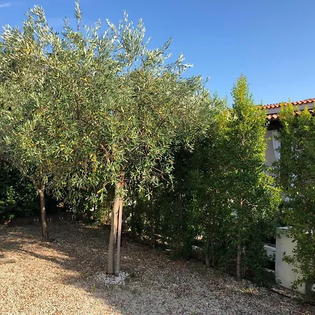 Casa vacanze Ca' Viscomi *